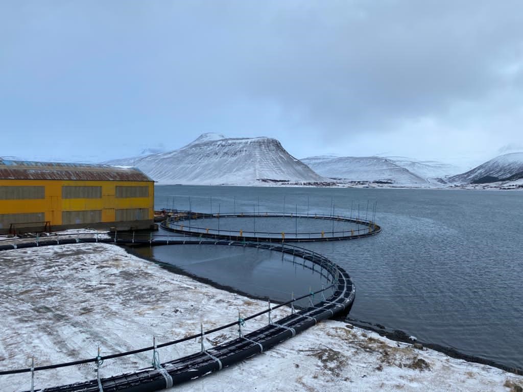 Nýjar sjókvíar sjósettar á Suðurtanga
